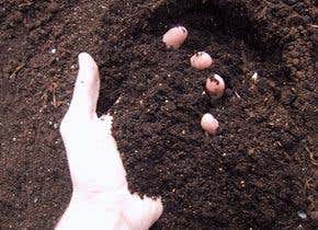 Artificial soil: quick and dirty