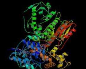 Correct address may fix faulty genes