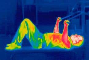 Your body the powerplant