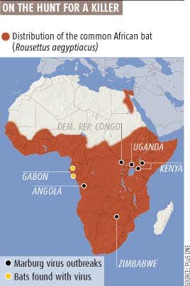 New Scientist. Science news and long reads from expert journalists, covering developments in science, technology, health and the environment on the website and the magazine.