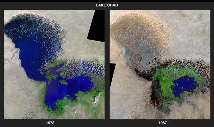 New Scientist. Science news and long reads from expert journalists, covering developments in science, technology, health and the environment on the website and the magazine.