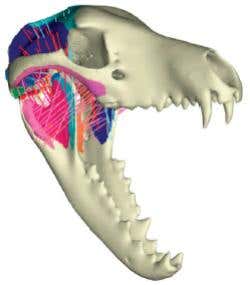 New Scientist. Science news and long reads from expert journalists, covering developments in science, technology, health and the environment on the website and the magazine.