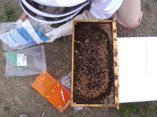 New Scientist. Science news and long reads from expert journalists, covering developments in science, technology, health and the environment on the website and the magazine.