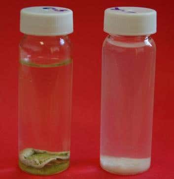 New Scientist. Science news and long reads from expert journalists, covering developments in science, technology, health and the environment on the website and the magazine.