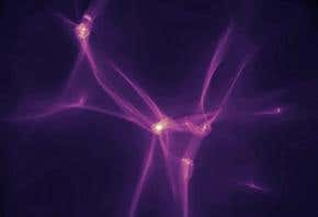 Warm dark matter solves mystery of giant black holes