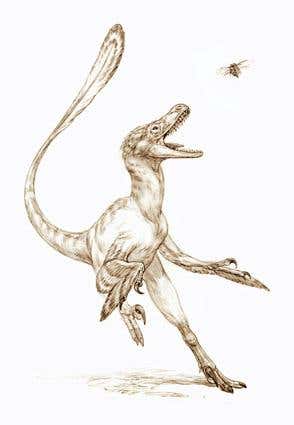 New Scientist. Science news and long reads from expert journalists, covering developments in science, technology, health and the environment on the website and the magazine.