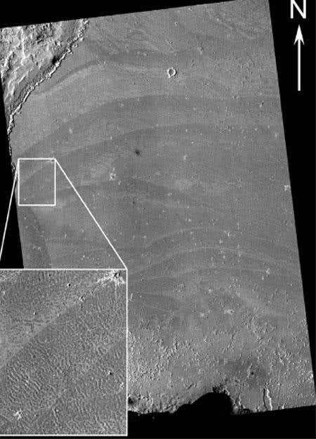 New Scientist. Science news and long reads from expert journalists, covering developments in science, technology, health and the environment on the website and the magazine.