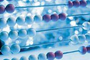 Mathematical cosmos: Reality by numbers