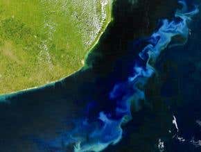 Can 'fertilising' the ocean combat climate change?