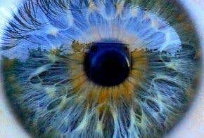 Mind tricks: Six ways to explore your brain