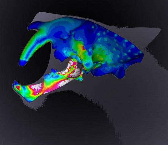 New Scientist. Science news and long reads from expert journalists, covering developments in science, technology, health and the environment on the website and the magazine.