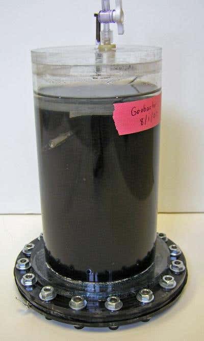 Grass-munching bugs could charge rural phones