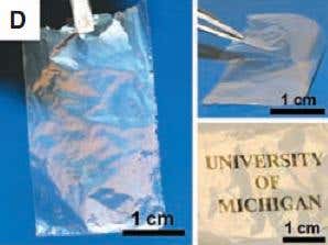 New Scientist. Science news and long reads from expert journalists, covering developments in science, technology, health and the environment on the website and the magazine.