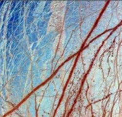 New Scientist. Science news and long reads from expert journalists, covering developments in science, technology, health and the environment on the website and the magazine.