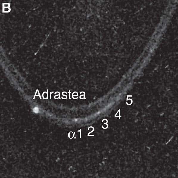 New Scientist. Science news and long reads from expert journalists, covering developments in science, technology, health and the environment on the website and the magazine.