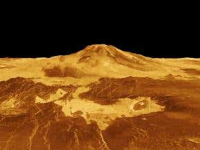 Did Venus's ancient oceans incubate life?
