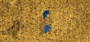 Forecasters predict morning drizzle on Titan