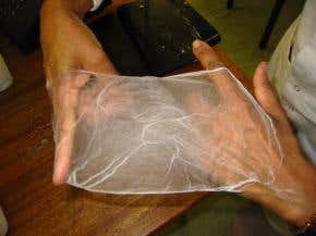 Cell-squirting needles could 'weave' new organs