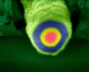 Light-harvesting nanowire could drive tiny devices