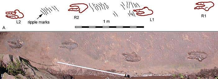 New Scientist. Science news and long reads from expert journalists, covering developments in science, technology, health and the environment on the website and the magazine.