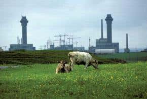 Extent of Windscale contamination was covered up