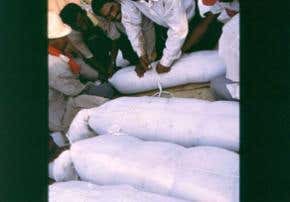 Death special: Turning the dead