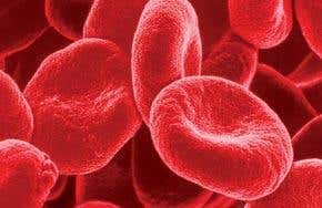 Virus traps: Weapons of mass deception