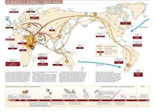 Going global: How humans conquered the world