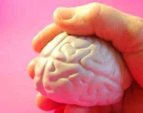 Race and intelligence: Not a case of black and white