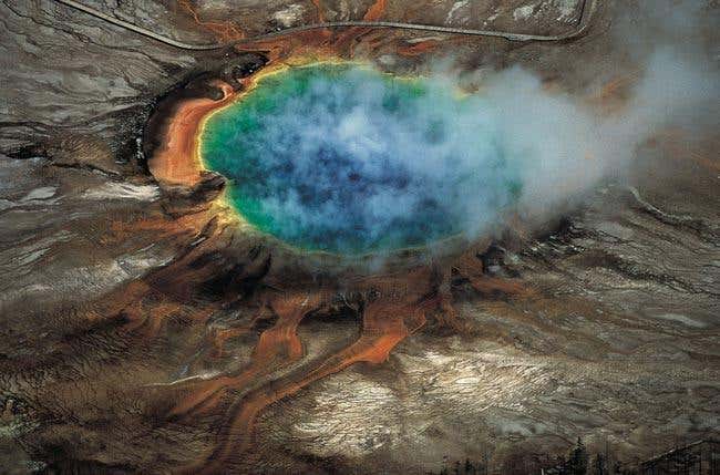 New Scientist. Science news and long reads from expert journalists, covering developments in science, technology, health and the environment on the website and the magazine.