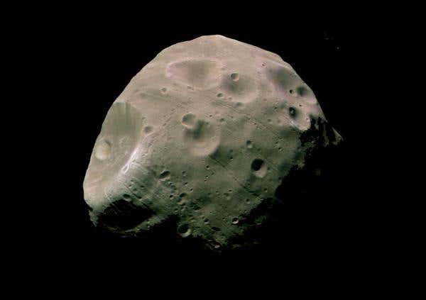 New Scientist. Science news and long reads from expert journalists, covering developments in science, technology, health and the environment on the website and the magazine.