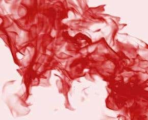 Menstrual blood could be rich source of stem cells