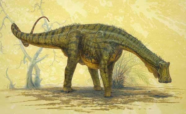 The dinosaur's jaw was flat, allowing it to crop plants 