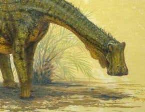 Odd-jawed dinosaur reveals bovine lifestyle