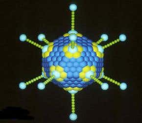 HIV vaccine trial backfires