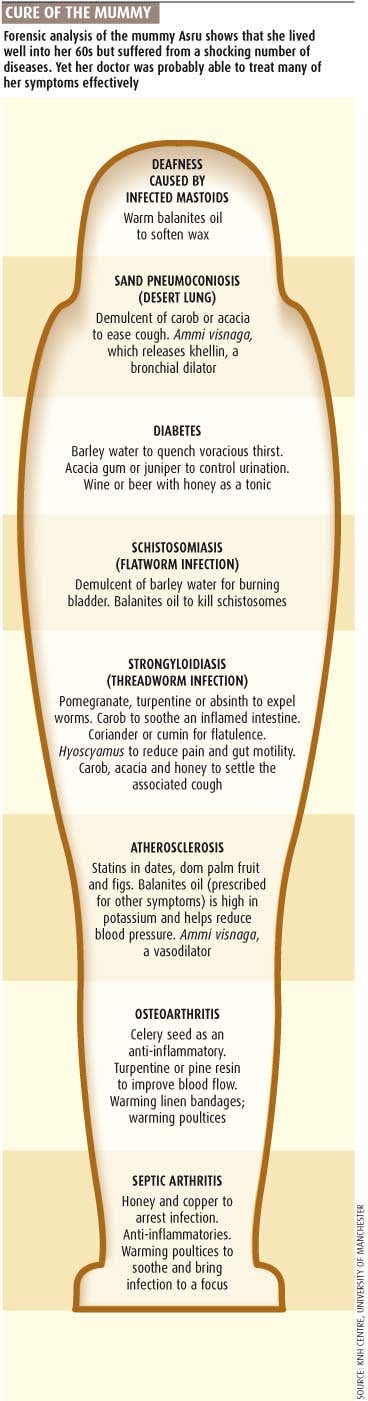 New Scientist. Science news and long reads from expert journalists, covering developments in science, technology, health and the environment on the website and the magazine.