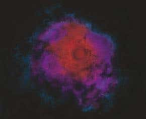 Universe's first stars may have been dark