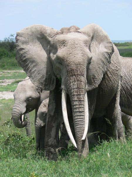 New Scientist. Science news and long reads from expert journalists, covering developments in science, technology, health and the environment on the website and the magazine.