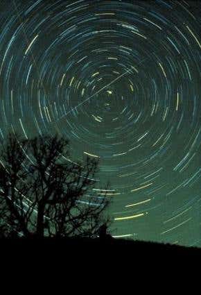 Year's best meteor shower set to dazzle