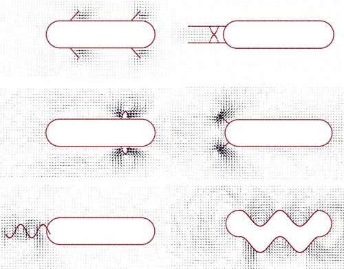 New Scientist. Science news and long reads from expert journalists, covering developments in science, technology, health and the environment on the website and the magazine.