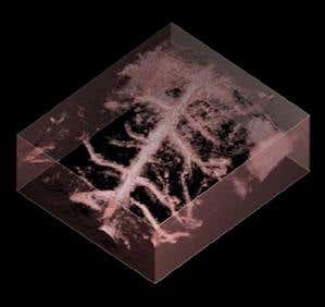 New Scientist. Science news and long reads from expert journalists, covering developments in science, technology, health and the environment on the website and the magazine.