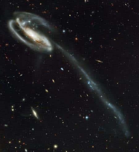 A galactic collision produced the long tail of gas and stars in the Tadpole Galaxy