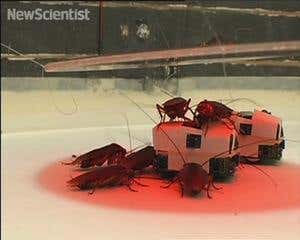 2007: Top 10 technology videos