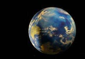 Was life forged in a quantum crucible?