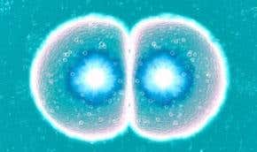 Comment: Donated eggs don't come cheap