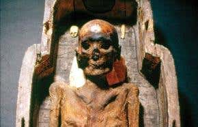 The Pharaoh's pharmacists