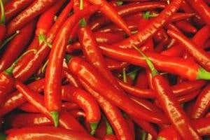 Some like it hot: The benefits of fiery food