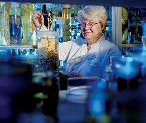 Interview: The discreet charm of nematode worms