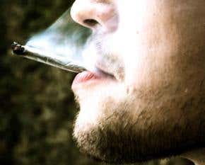 Inhaled cannabis is more toxic than tobacco smoke