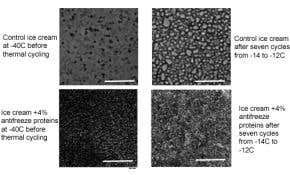 Edible antifreeze promises perfect ice cream